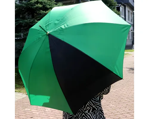 Зонт-трость Vivo, зеленый
