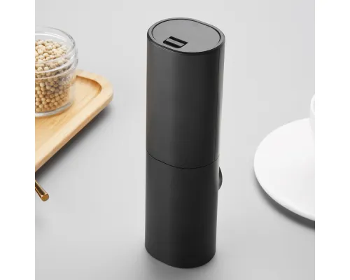 Мельница для специй Квиана, черный