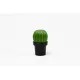 МЕЛЬНИЦА ДЛЯ СПЕЦИЙ Tasty Cactus