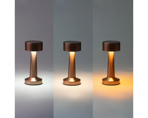 Настольная лампа REIKI cо встроенной батареей HF-8, розовое золото