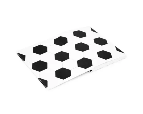 Записная книжка в клетку 15.5x21 Мяч R1-2440544