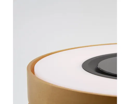 Интерьерная лампа с колонкой и беспроводной зарядкой Aronda