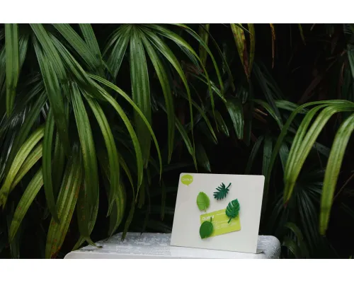 Набор магнитов Тропики