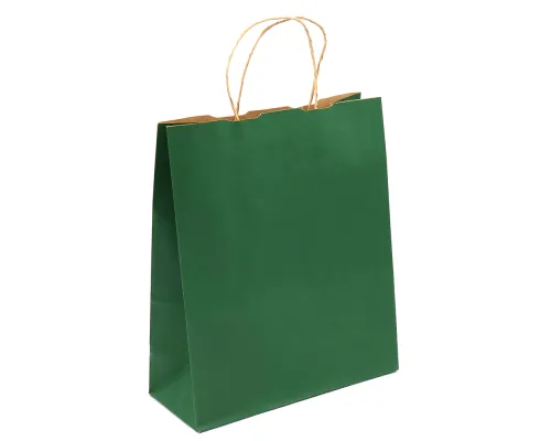 Пакет бумажный ARCE, Папоротниковый