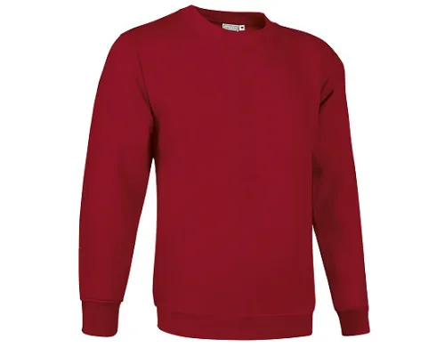 Толстовка DUBLIN,  красный лотос L