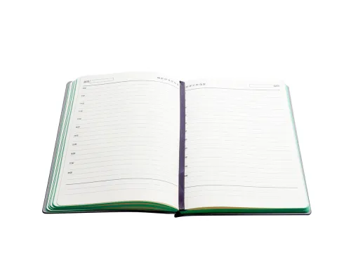 Ежедневник A5 недатированный Carisma в мягком переплёте, зеленый