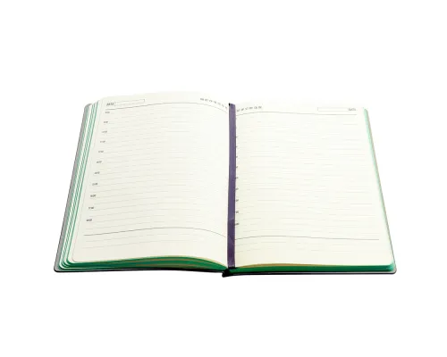 Ежедневник A5 недатированный Carisma в мягком переплёте, зеленый