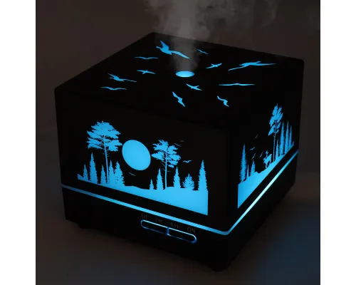 Светодиодный увлажнитель Wisdom с подсветкой гравировки, черный