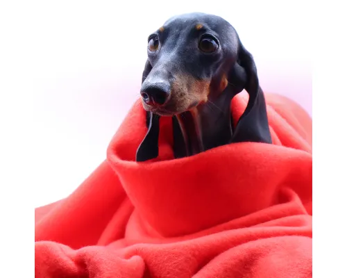 Плед PATIO, красный