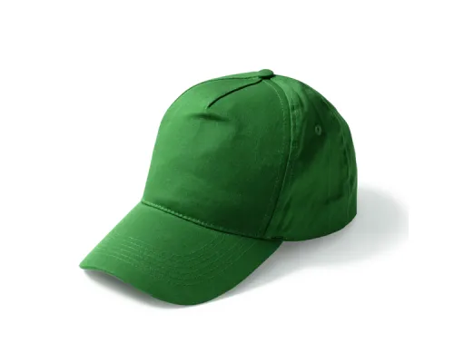 Бейсболка 5-панельная из хлопка FIDES, Папоротниковый
