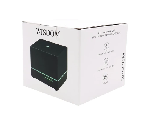 Светодиодный увлажнитель Wisdom с подсветкой гравировки, черный