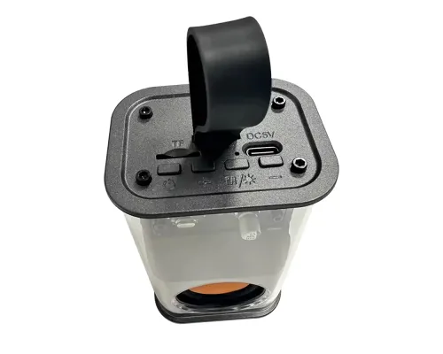 Прозрачная беспроводная колонка Jazzy, черный