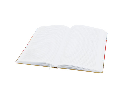 Записная книжка A6 Dziuna Октябрьская в клетку 10,5 x 16 см Записная книжка A6 Dziuna Октябрьская в клетку 10,5 x 16 см