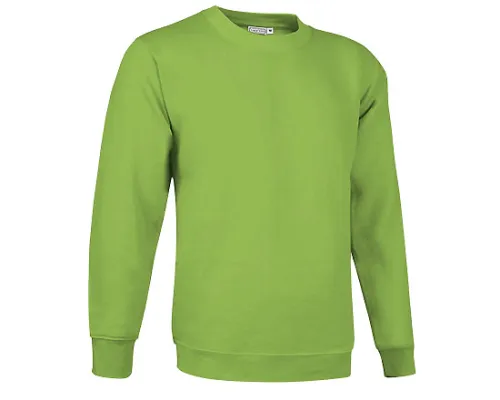 Толстовка DUBLIN, зеленое яблоко S