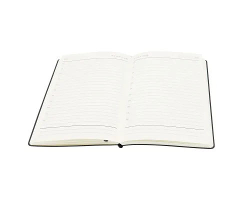 Ежедневник A5 недатированный Equator в мягком переплёте, чёрный с серебристым