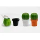 МЕЛЬНИЦА ДЛЯ СПЕЦИЙ Tasty Cactus
