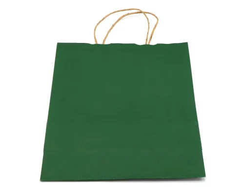 Пакет бумажный ARCE, Папоротниковый