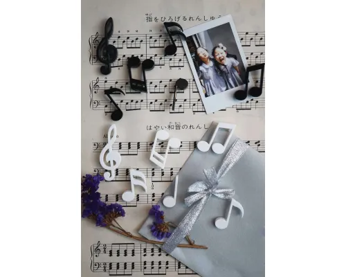 МАГНИТЫ MEMODY MAGNET (6 ШТ. / УПАК.), чёрные