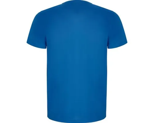 Спортивная футболка IMOLA мужская, КОРОЛЕВСКИЙ СИНИЙ 2XL