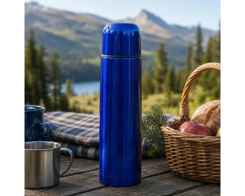 Термос Picnic Bright, синий