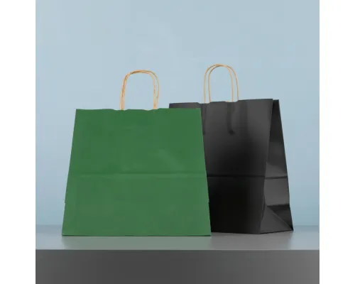 Пакет бумажный HAYA, Папоротниковый