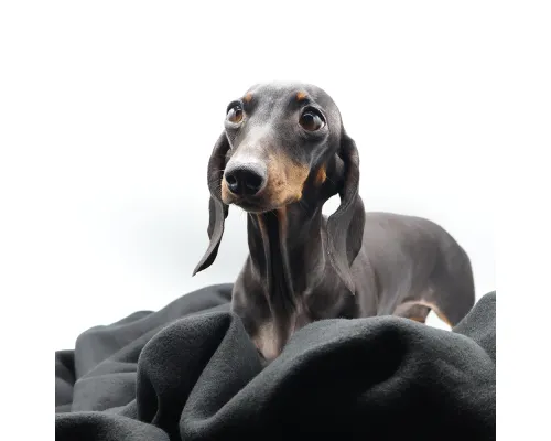 Плед PATIO, черный