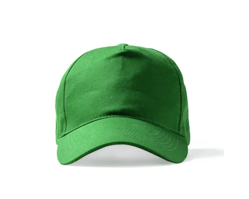 Бейсболка 5-панельная из хлопка FIDES, Папоротниковый