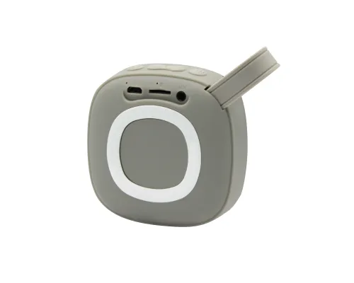 Беспроводная Bluetooth колонка X25 Outdoor (BLTS01), серая Беспроводная Bluetooth колонка X25 Outdoor (BLTS01), серая