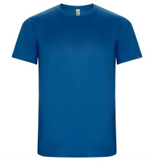 Спортивная футболка IMOLA мужская, КОРОЛЕВСКИЙ СИНИЙ 3XL