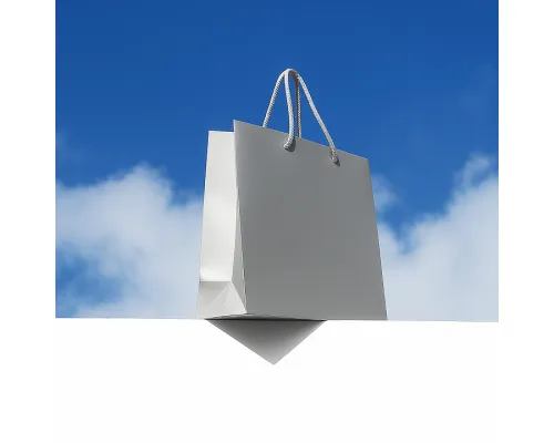 Пакет из бумаги Introduce, Серый