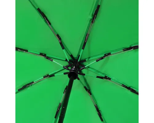 Автоматический противоштормовой зонт Dakota, зеленый