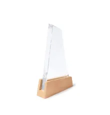 Стеклянная награда NAVIS