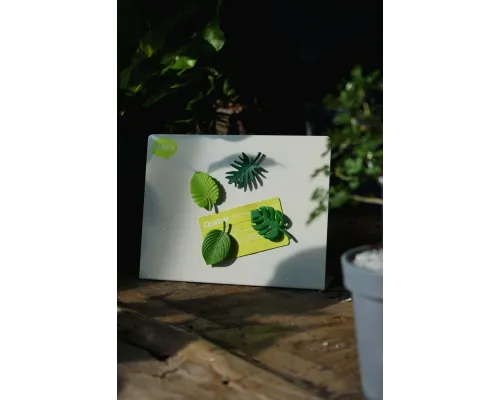 Набор магнитов Тропики