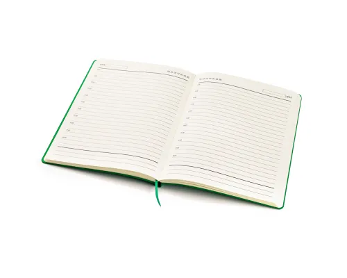 Ежедневник A5 недатированный Esmeralda в мягком переплёте, зелёный с серебристым