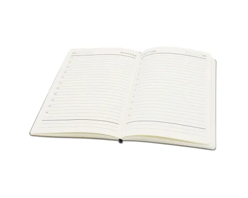 Ежедневник A5 недатированный Equator в мягком переплёте, серый с серебристым