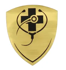 Шильд-наклейка медицина, золото