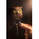 Брелок для ключей Night Owl