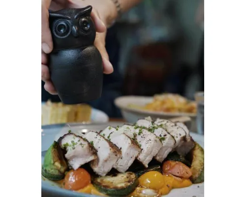 МЕЛЬНИЦА ДЛЯ СПЕЦИЙ Tasty Owl, чёрная