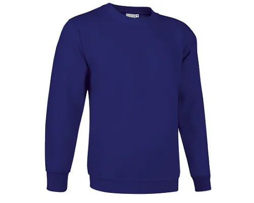 Толстовка DUBLIN, фиолетовый баклажан L