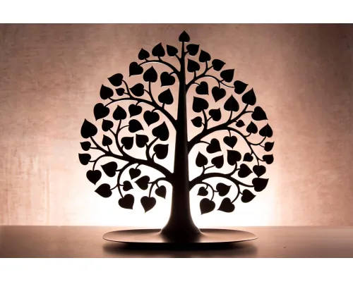 Декоративный органайзер для украшений Bodhi, черный