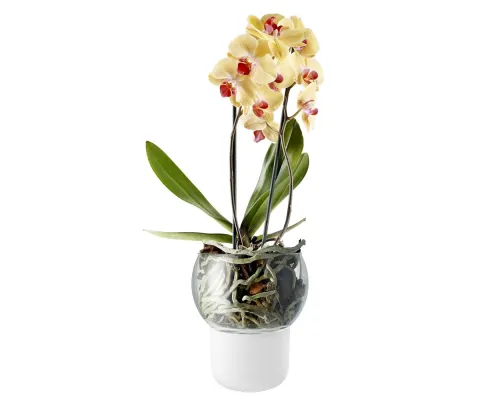 Горшок для орхидеи с функцией самополива Orchid Pot, большой, белый Горшок для орхидеи с функцией самополива Orchid Pot, большой, белый