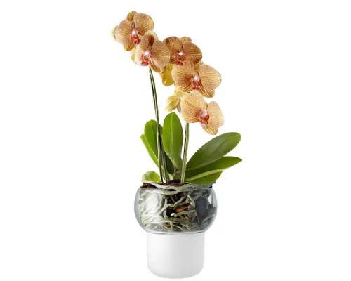Горшок для орхидеи с функцией самополива Orchid Pot, малый, белый Горшок для орхидеи с функцией самополива Orchid Pot, малый, белый