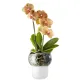 Горшок для орхидеи с функцией самополива Orchid Pot, малый, белый