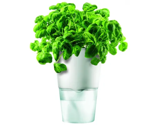 Горшок для растений Flowerpot, фарфоровый, голубой