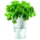 Горшок для растений Flowerpot, фарфоровый, голубой