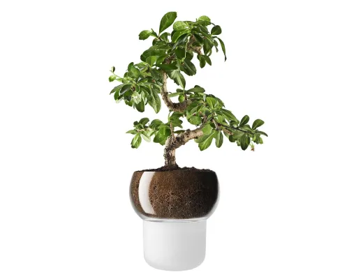 Горшок для орхидеи с функцией самополива Orchid Pot, малый, белый Горшок для орхидеи с функцией самополива Orchid Pot, малый, белый