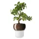 Горшок для орхидеи с функцией самополива Orchid Pot, малый, белый