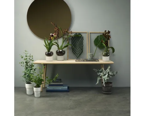 Горшок для орхидеи с функцией самополива Orchid Pot, малый, белый Горшок для орхидеи с функцией самополива Orchid Pot, малый, белый