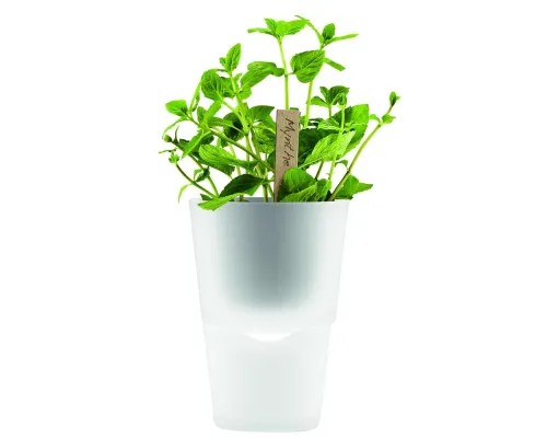 Горшок для растений Flowerpot, фарфоровый, белый Горшок для растений Flowerpot, фарфоровый, белый