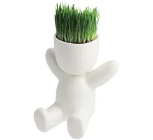 Набор для выращивания Funky Kid